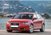 Exhaust system AUDI A3 1.6 FSi