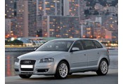 Exhaust system AUDI A3 1.6 FSi