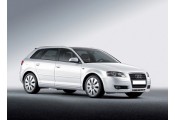 Exhaust system AUDI A3 2.0 FSi