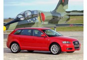 Exhaust system AUDI A3 2.0 TDi