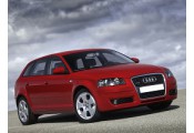 Exhaust system AUDI A3 1.6 FSi