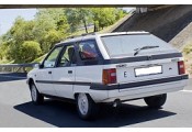 Exhaust system CITROEN BX 1.4 Evasion