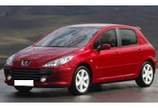 Exhaust system PEUGEOT 307 1.4i - 16V