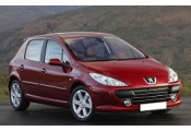 Exhaust system PEUGEOT 307 1.6 HDi TD