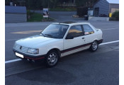 Exhaust system PEUGEOT 309 1.9 GTi