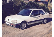 Exhaust system PEUGEOT 309 1.9 GTi