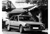 Exhaust system PEUGEOT 505 2.0