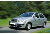 Exhaust system SKODA Fabia 1.9 TDi TD