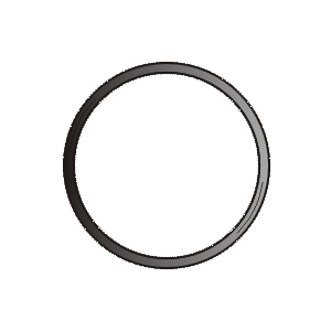 Sealing ring