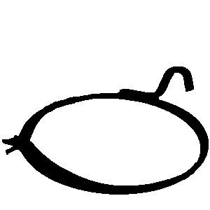 Suspension bracket